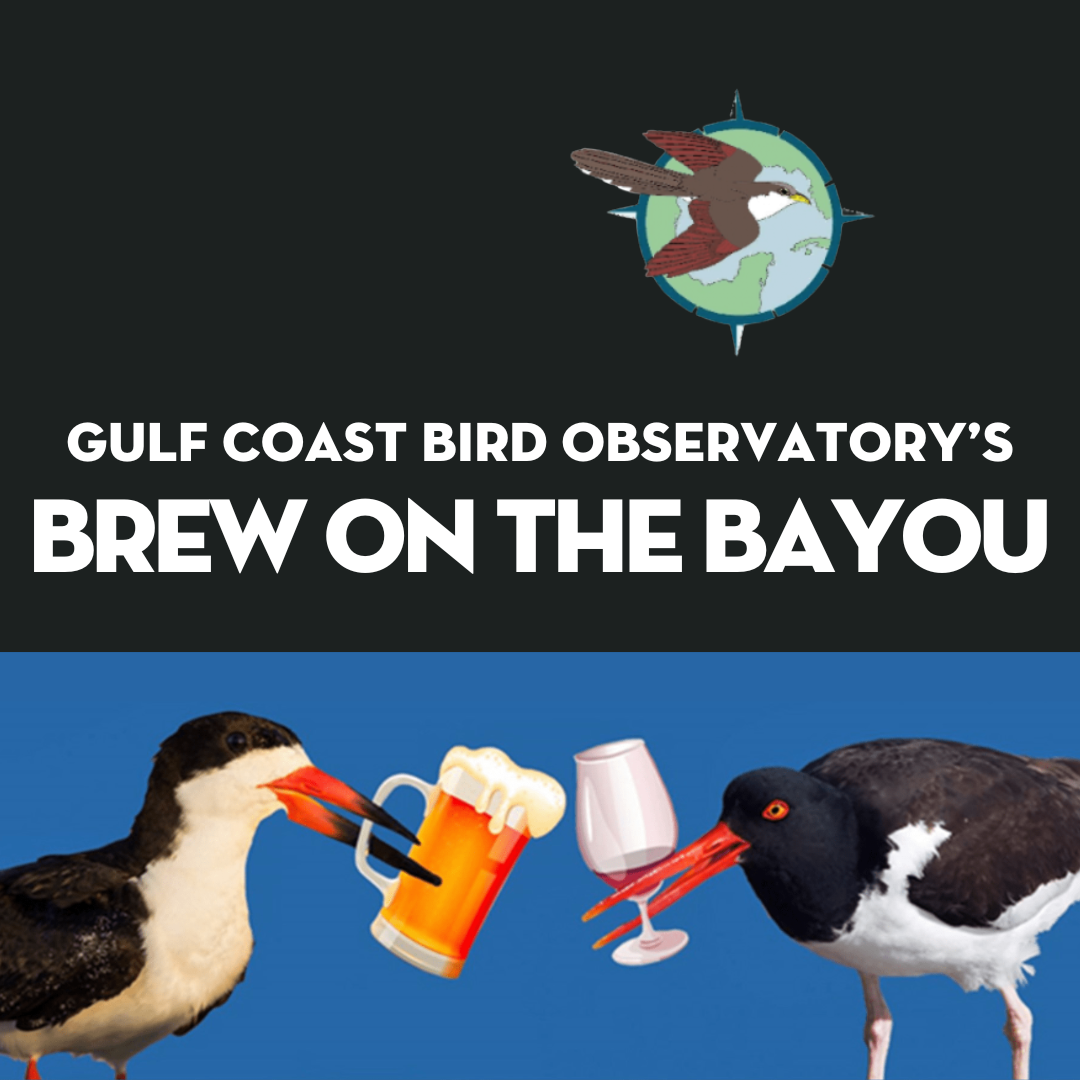 Gulf Coast Bird Observatory: Brew on the Bayou