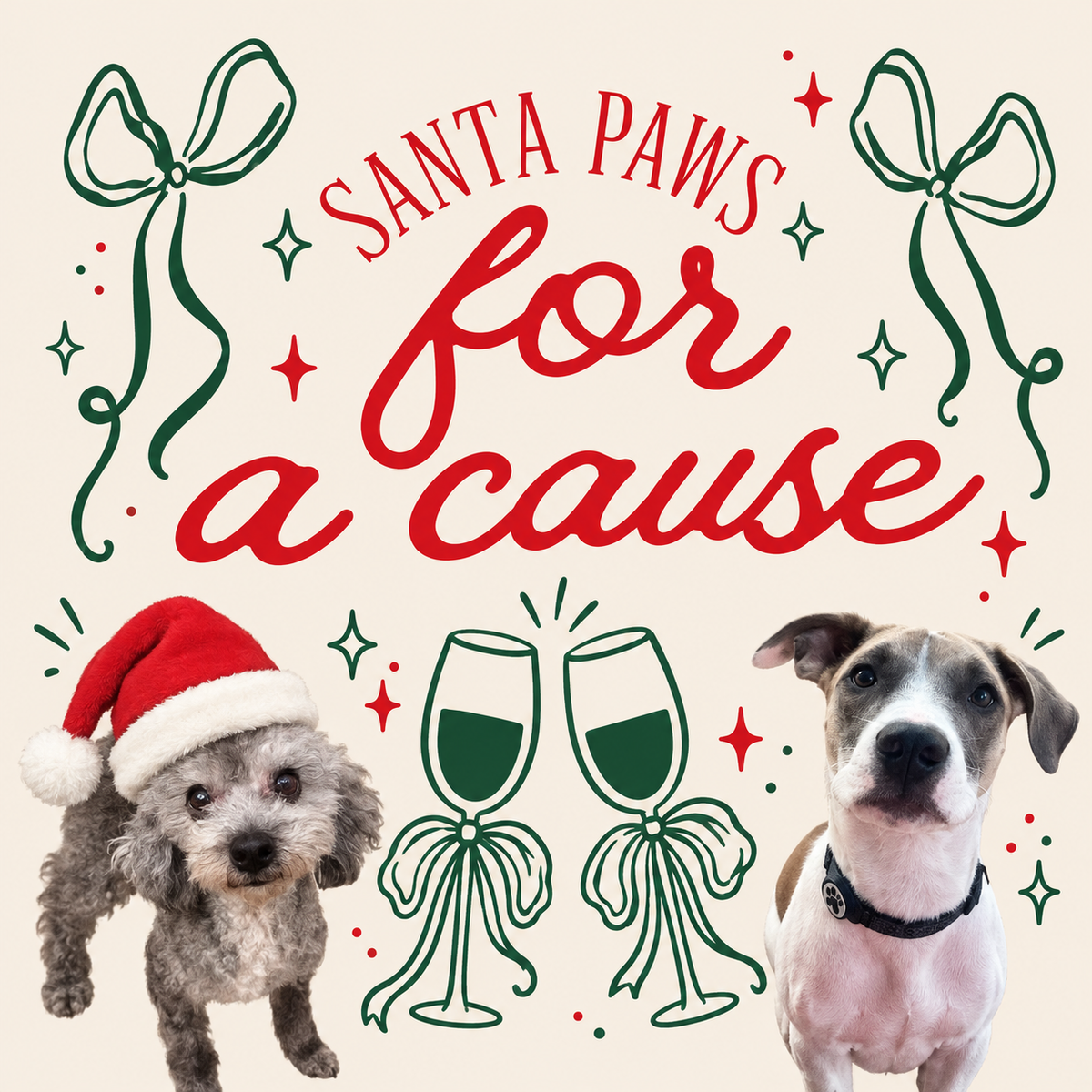 Santa Paws Pictures for Pippy's Pals